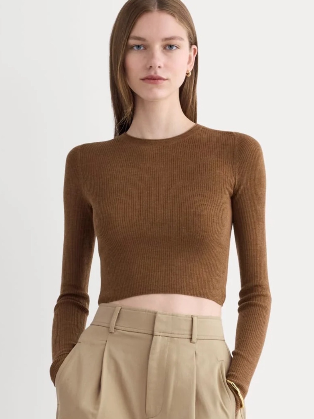 Everlane Cropped Crew Top in Ultrafine Merino
